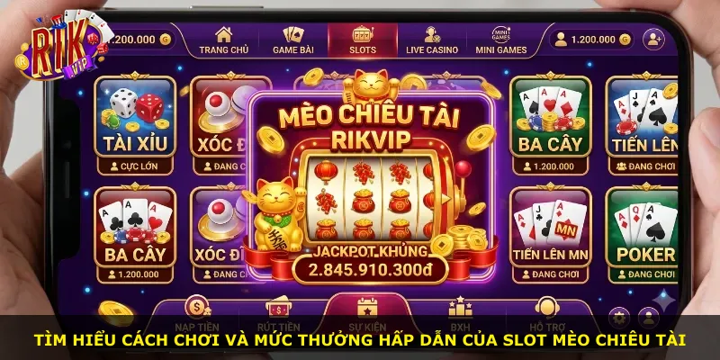 Tìm hiểu cách chơi và mức thưởng hấp dẫn của slot Mèo Chiêu Tài